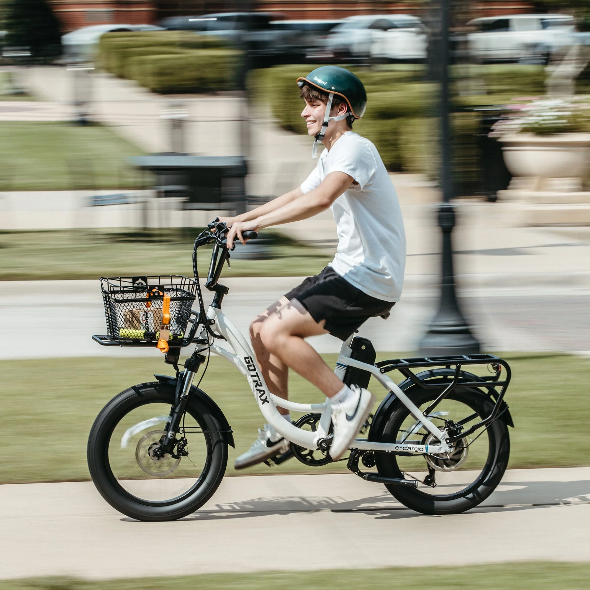 E-Cargo Electric Bike - Image 14
