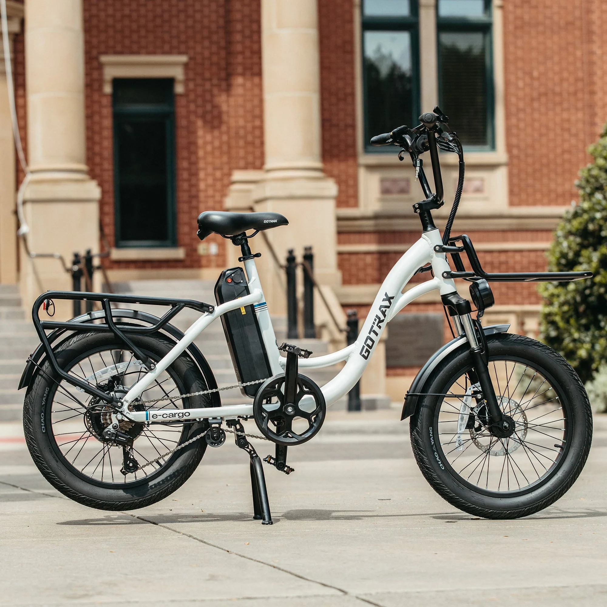 E-Cargo Electric Bike - Image 15