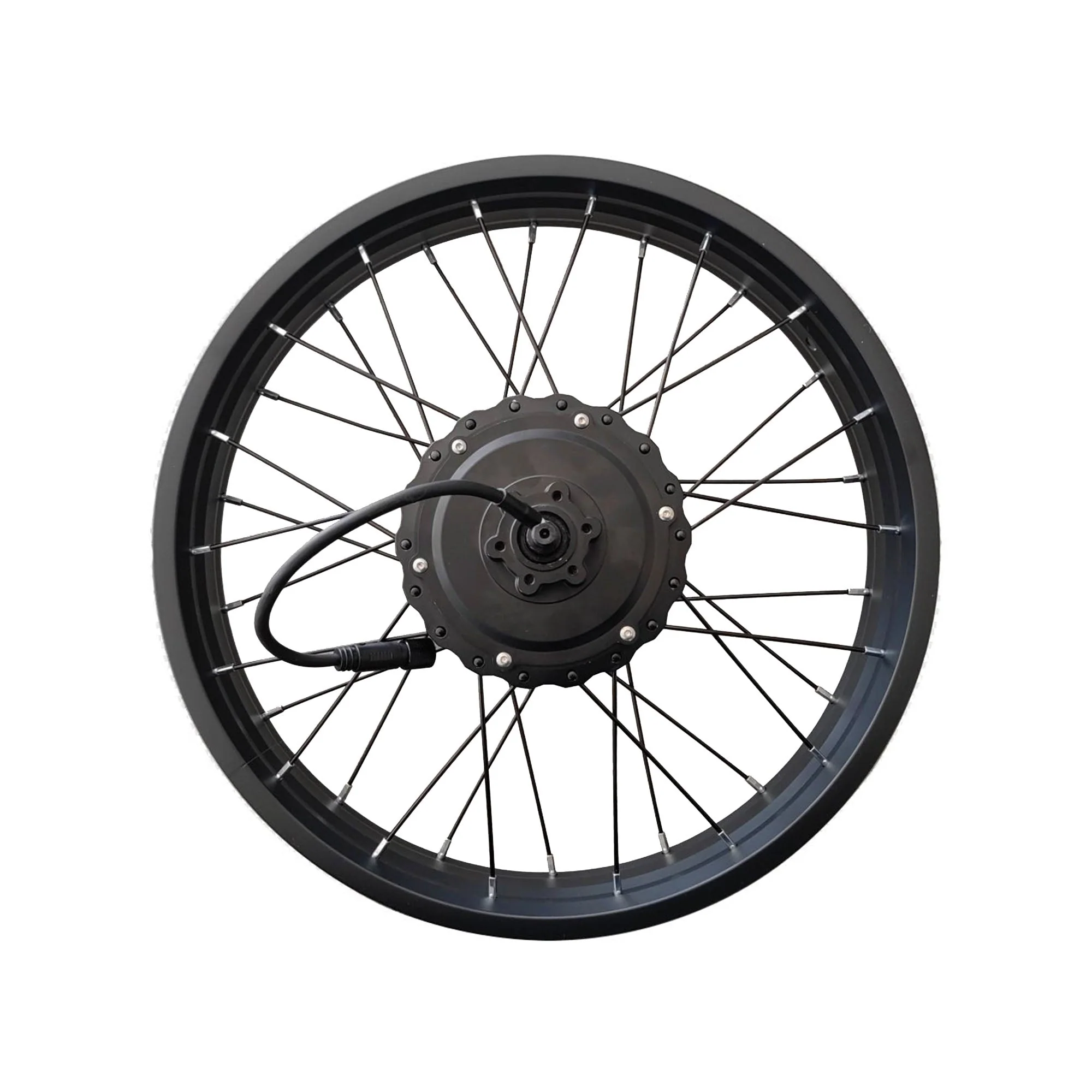 R2/F2 Electric Bike Motor Wheel Assembly