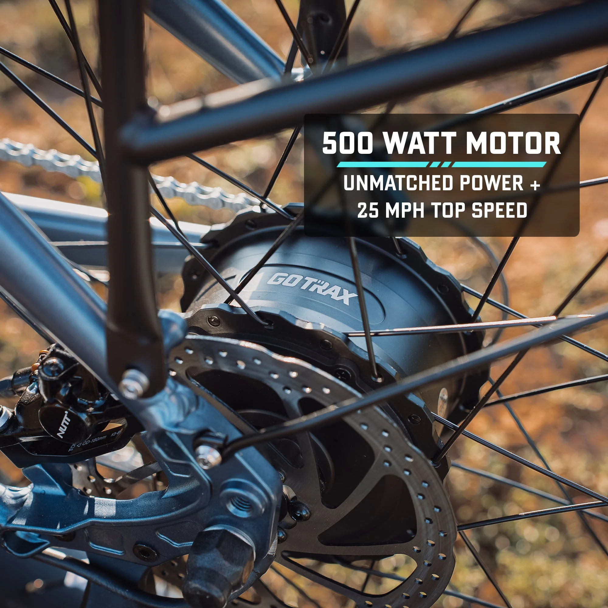 R8 Fat Tire eBike - Image 8
